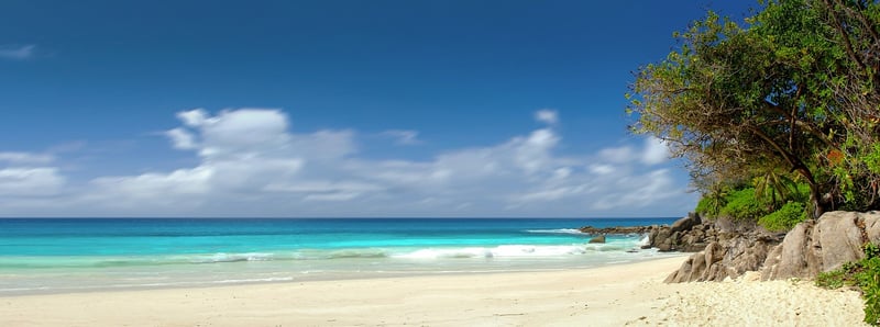 Beach Cliffs