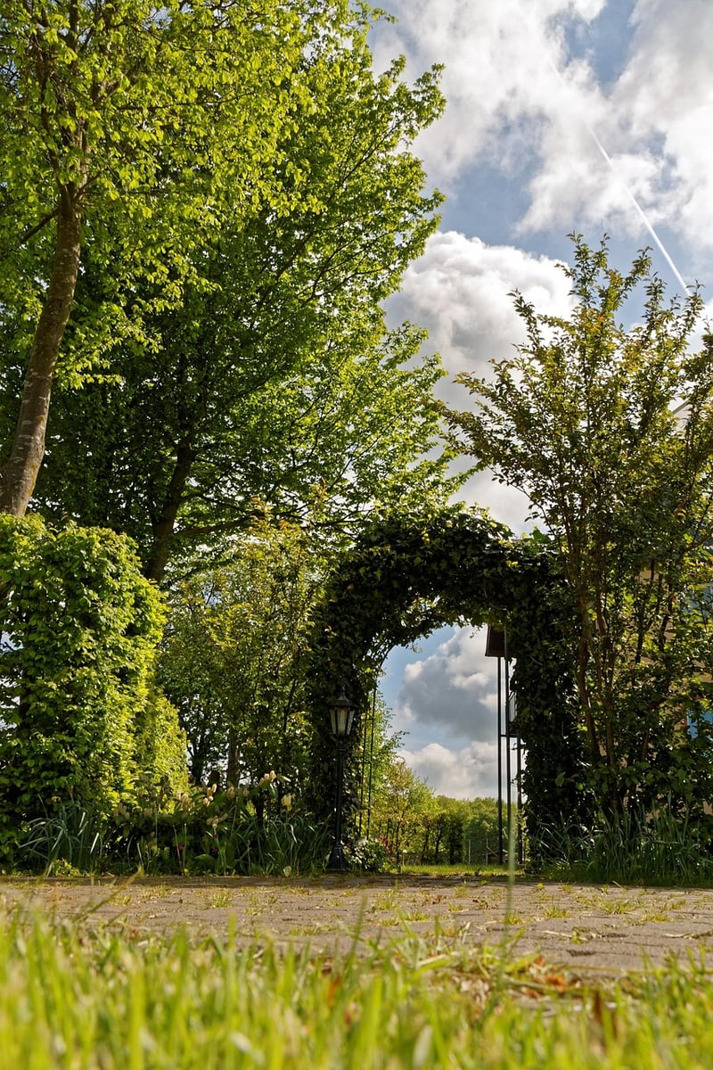 Ivy archway